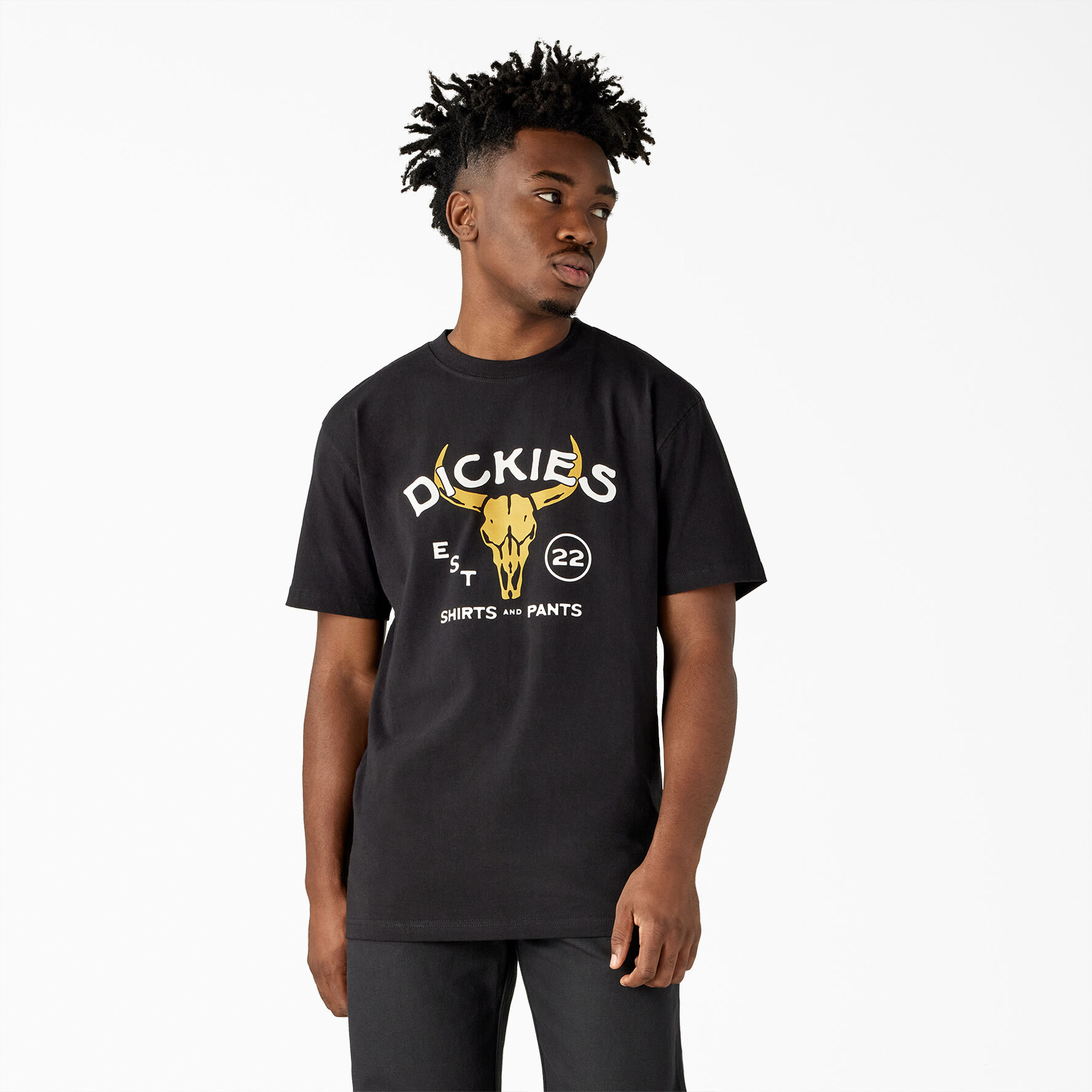 Bull Skull Heavyweight T Shirt Dickies US