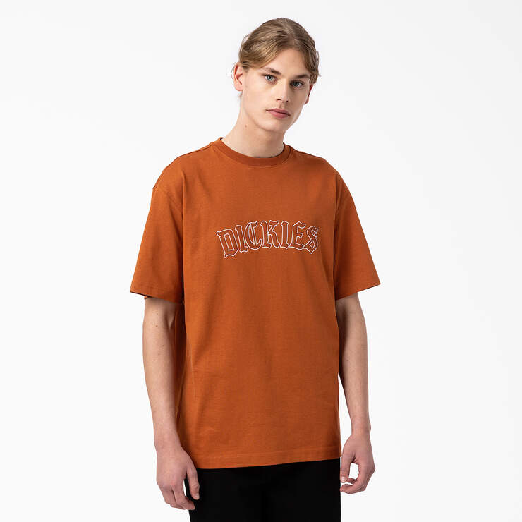 Union Springs Short Sleeve T-Shirt - Gingerbread Brown (IE) image number 1