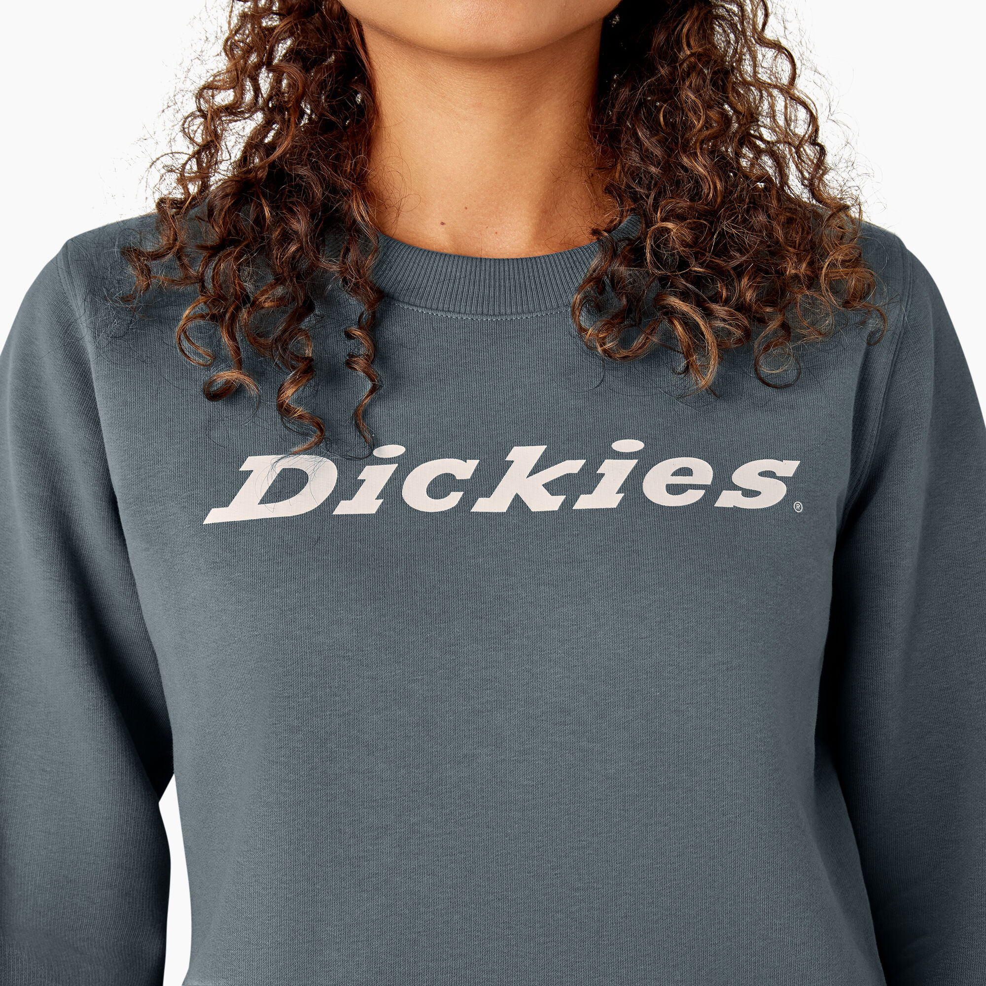 Dickies logo 2025 sweatshirt