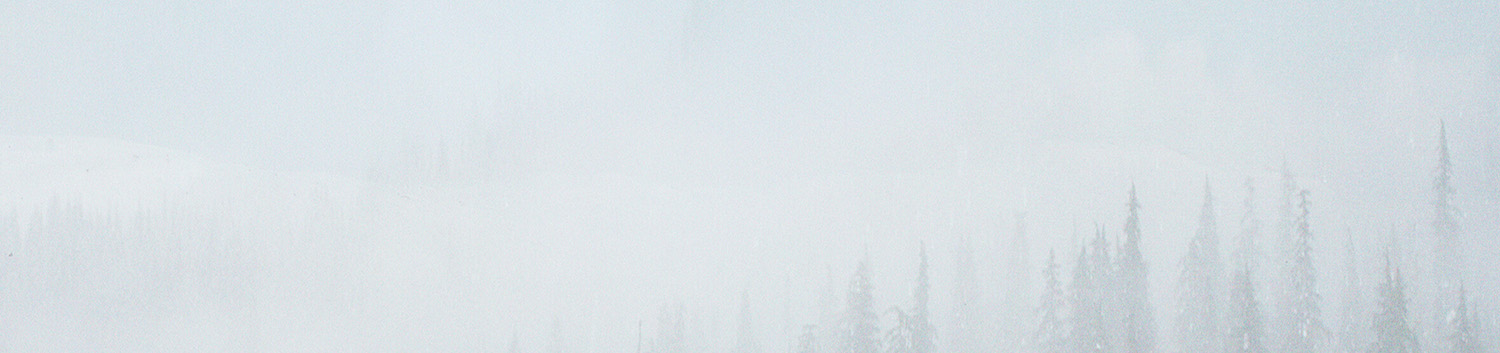 A snowy background.