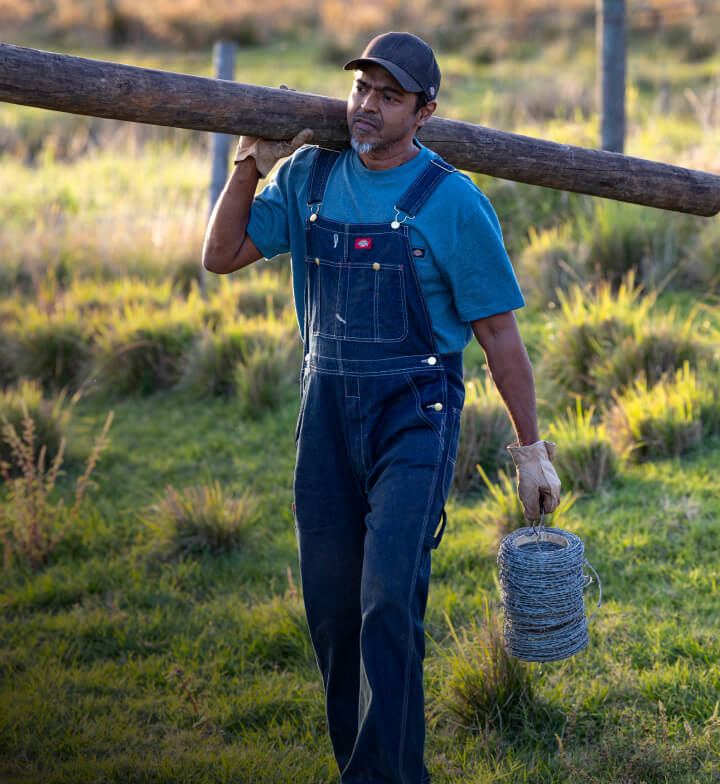 A person wearing denim bib overalls and carrying a big log.