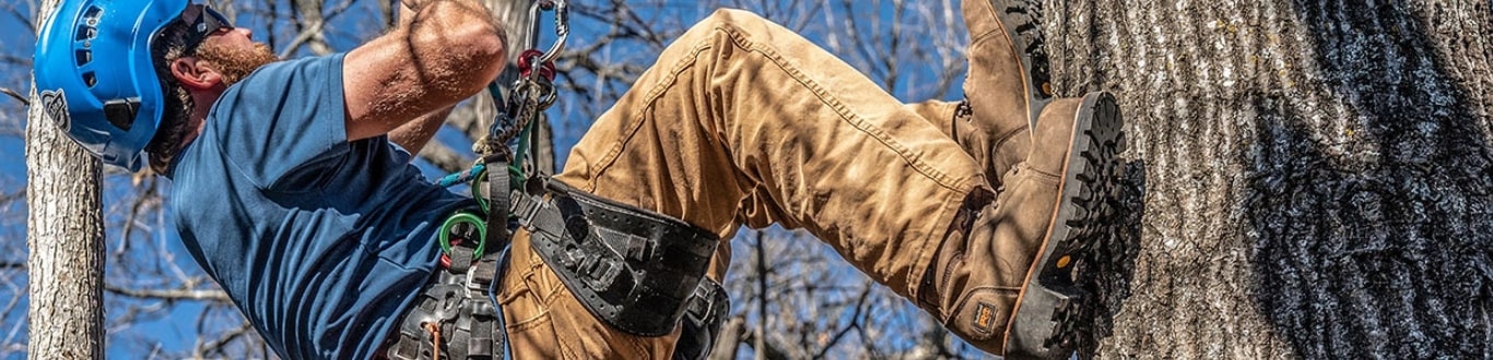 man climbing a tree in climbing gear