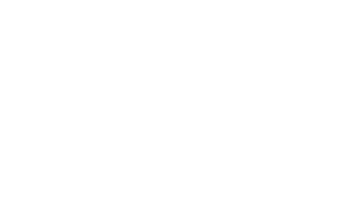 dickies perfect shape jeans