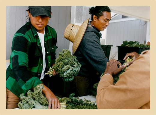 Isabella, Farm Manager, and Richard, Co-Founder, prepare kale for a food bank delivery.