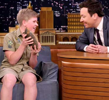 Coordinate your Handyman or Crocodile Hunter Costume