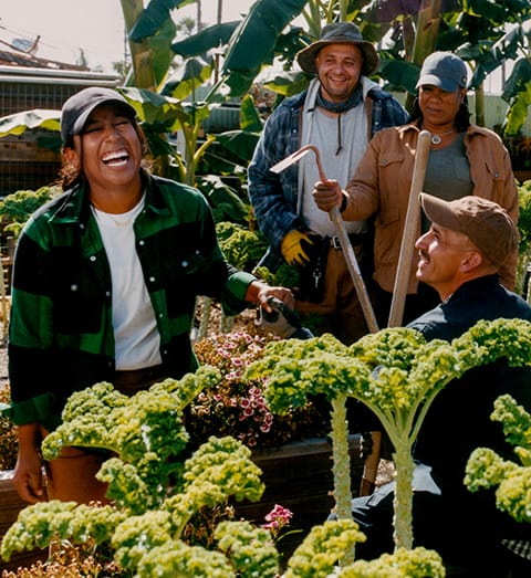 LA Based community farm: Alma Backyard Farms
