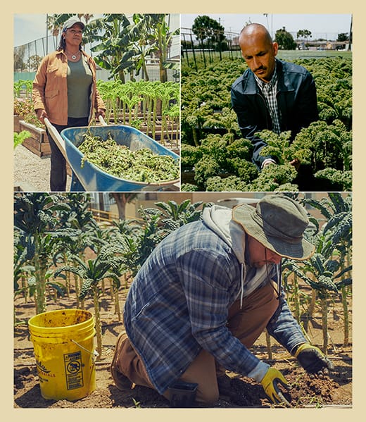 Journey, Mando, and Luis put in hours of labor on the farm