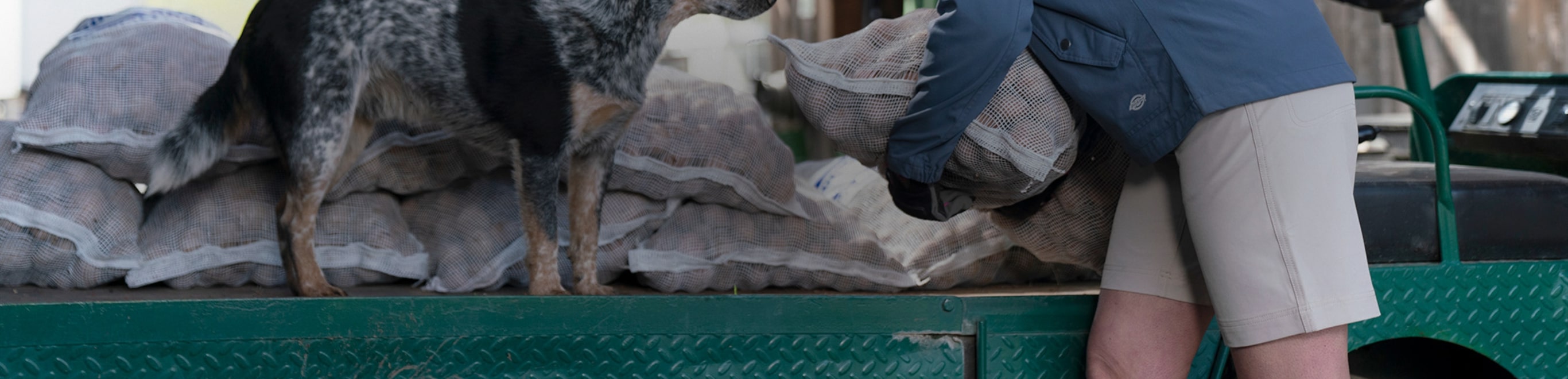 a woman putting away items in a cart