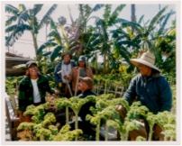Hear all about what drives the Alma Backyard Farm team to give back to those in their community.