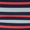 Sky Blue Summer Fair Stripe (SKS)