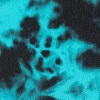 Blue Print (LP)