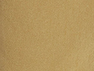 Dark Tan (DT)