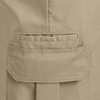 Dickies wp598