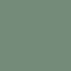 Pine Pigment Wash (WN2)