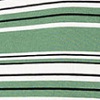 Dark Ivy Variegated Stripe (DSV)