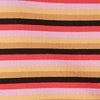Orange Explorer Stripe (AXS)